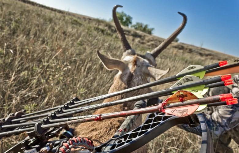 Archery antelope hunting success 1