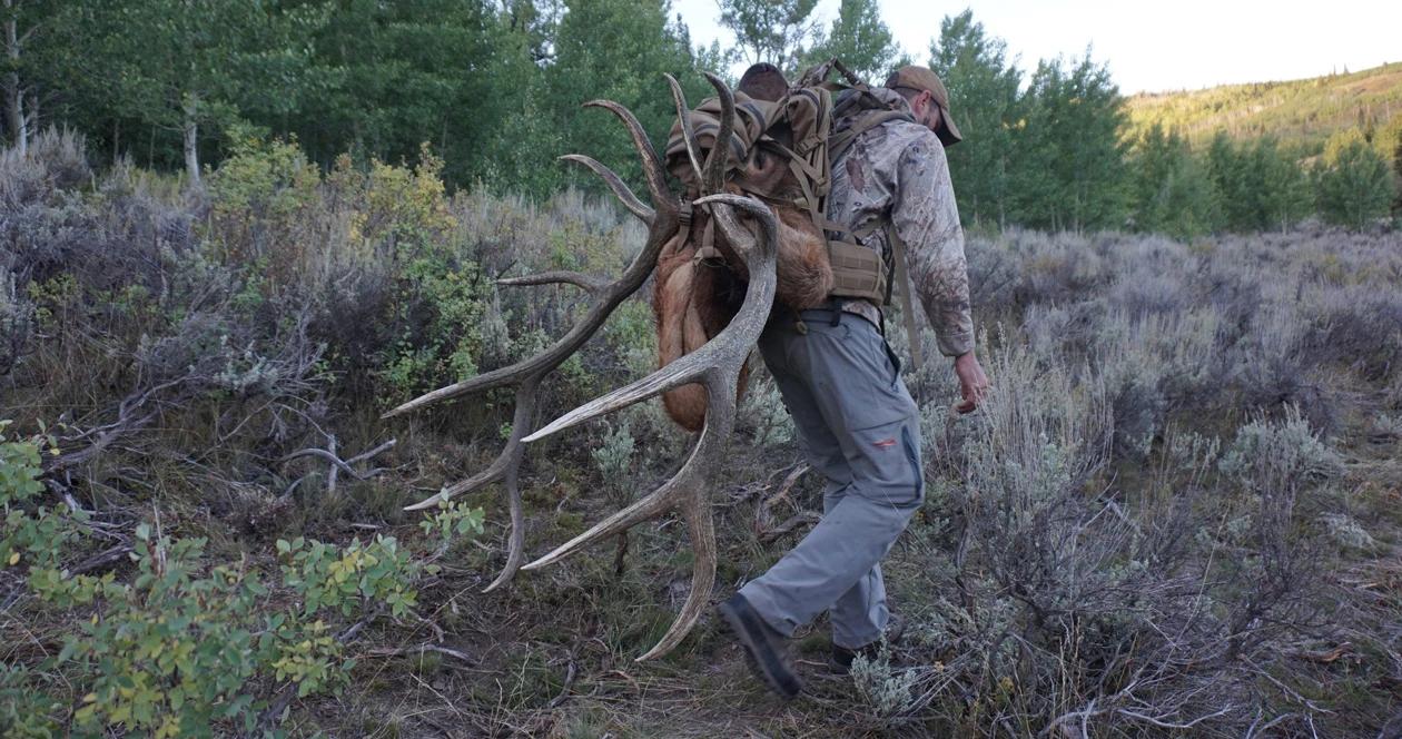 Stephen spurlock packing out a bull elk 1_0