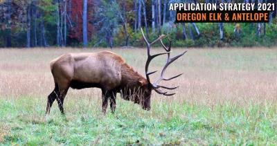 APPLICATION STRATEGY 2021: Oregon Elk and Antelope