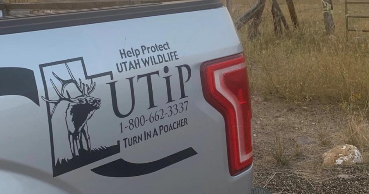 Utah poaching numbers h1