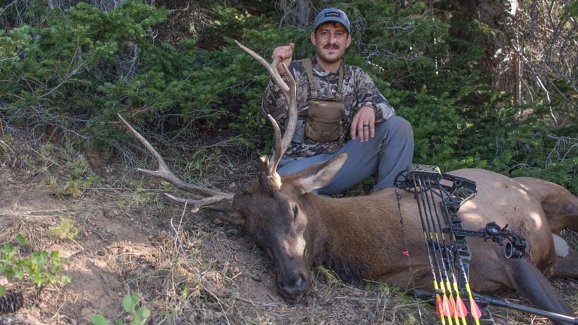 Dave barnett 2020 wyoming archery bull elk