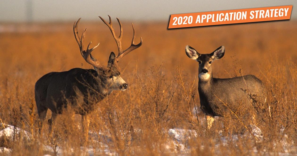 Wyoming elk and antelope application strategy 2020 h1