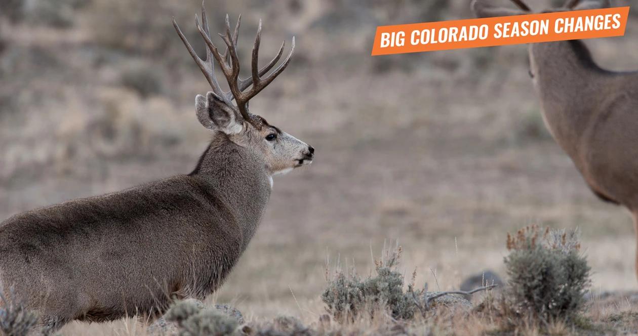 Colorado's 2020-2026 new hunting season dates... how will they impact you?