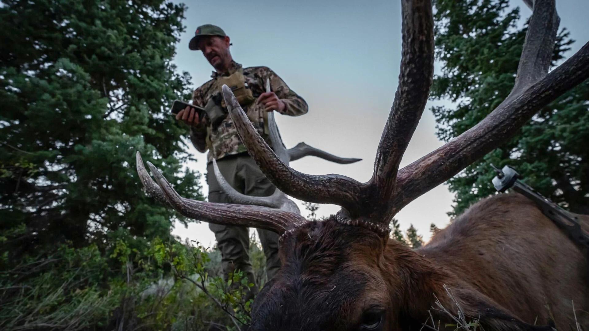 How to use Unit Profiles in the mobile app to find over-the-counter elk hunting opportunities