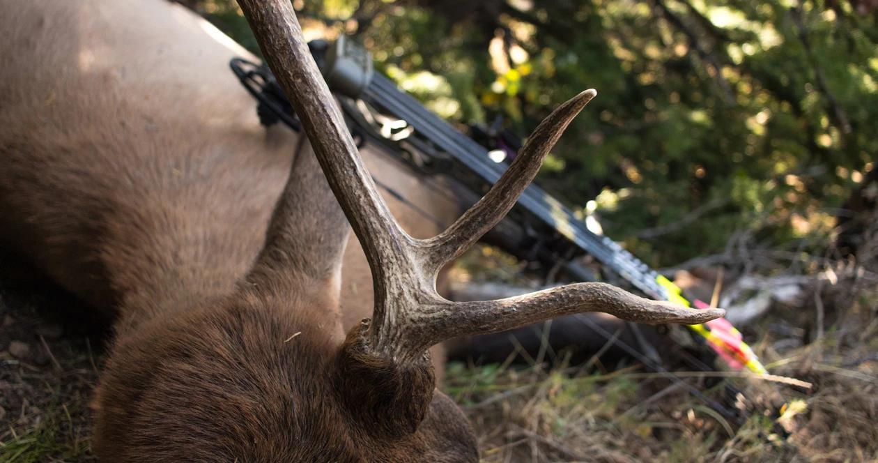 Using gohunt maps to plan elk hunt 1