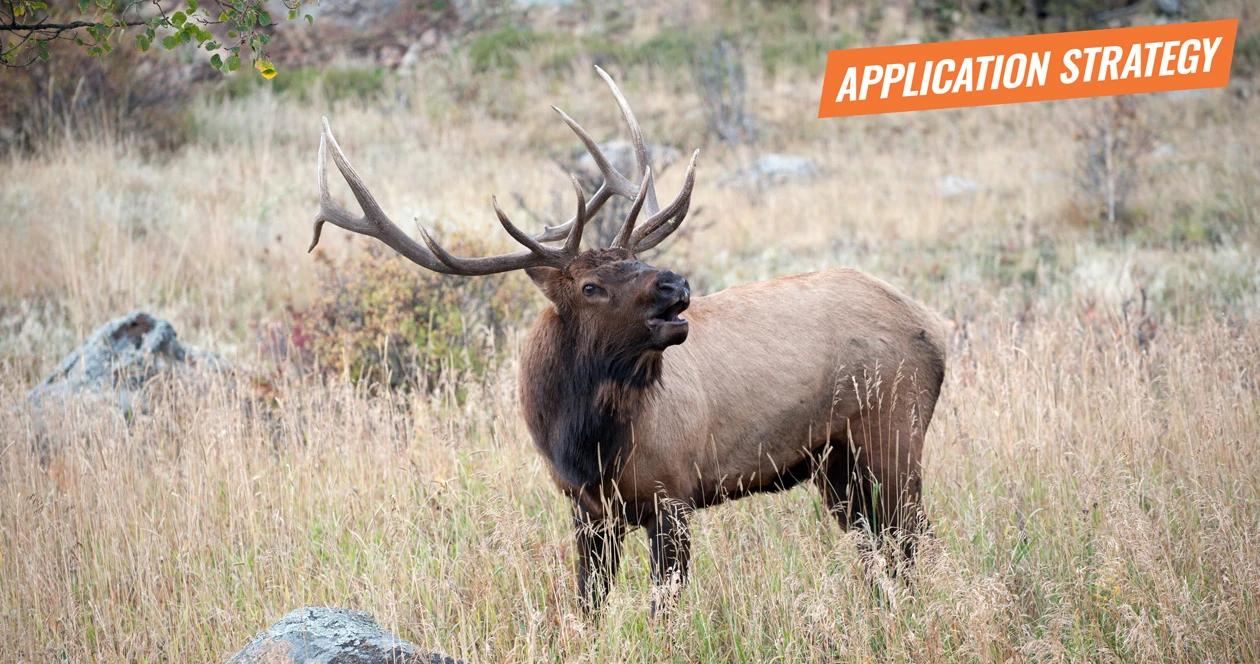 2018 nevada elk application strategy article 1