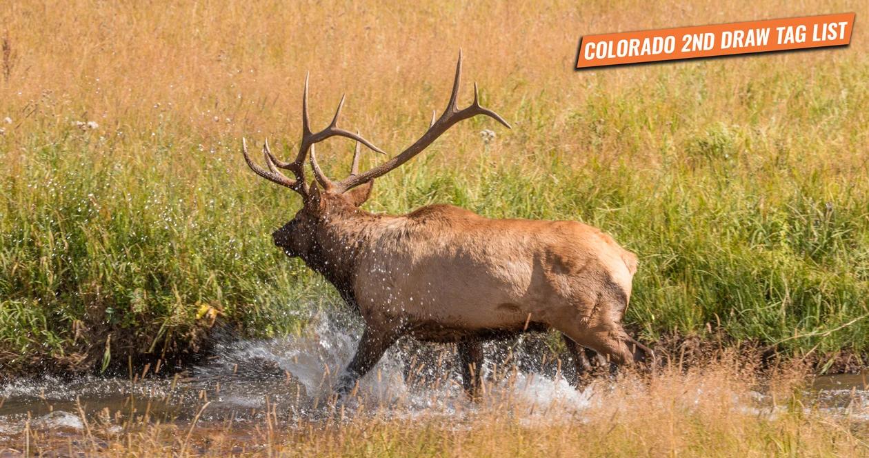 Colorado secondary draw hunting tag list 1