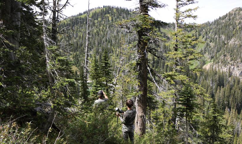 Scouting for bucks in northwest montana