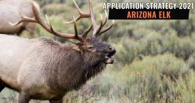 APPLICATION STRATEGY 2021: Arizona Elk