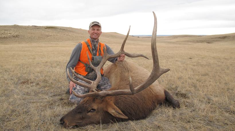Randy newberg montana bull elk