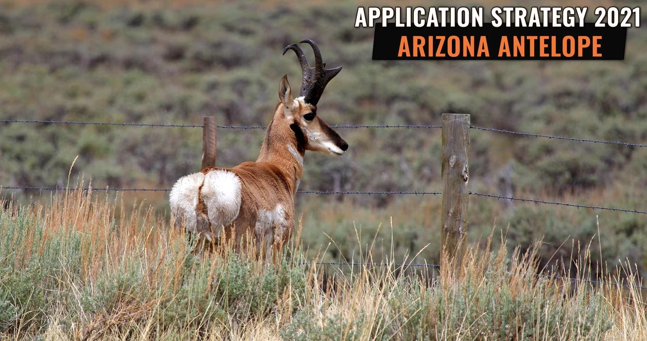 APPLICATION STRATEGY 2021: Arizona Antelope