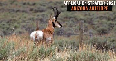 APPLICATION STRATEGY 2021: Arizona Antelope