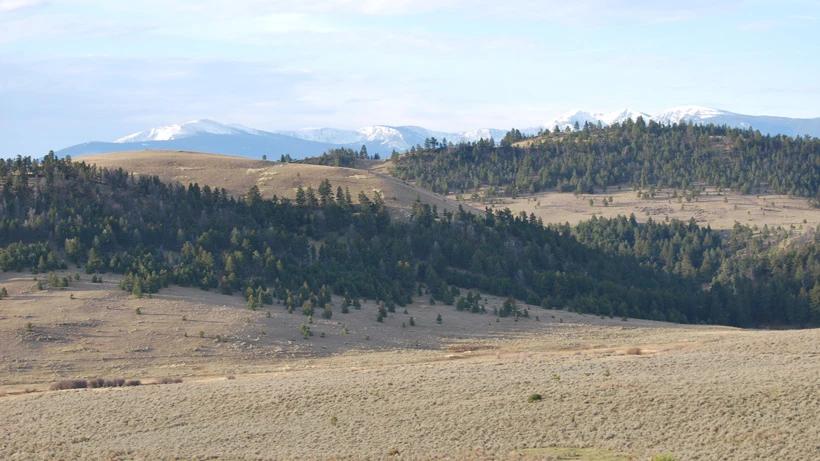 Montana elk hunting scenery