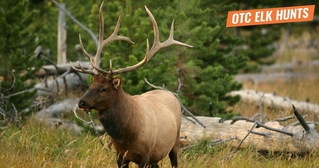 Over the counter elk hunt information 1
