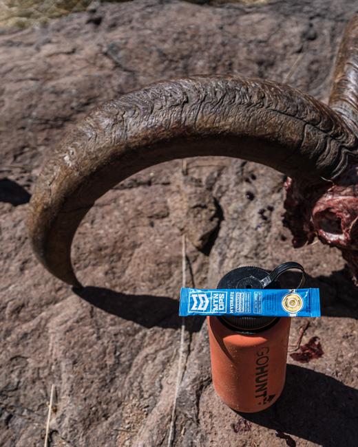 Mtn ops hydrate with aoudad ram