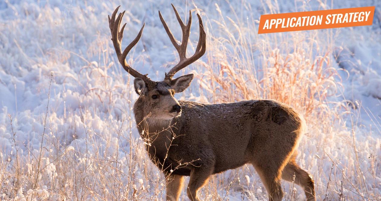 2018 wyoming deer and antelope application strategy article 1