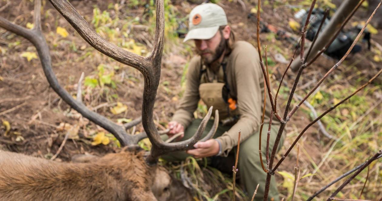 Overview of colorado elk hunting opportunities 1