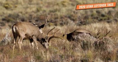 2020 Utah Leftover Hunting Permit List
