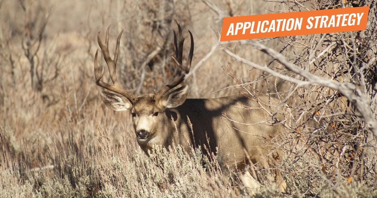 2018 montana deer application strategy article 1