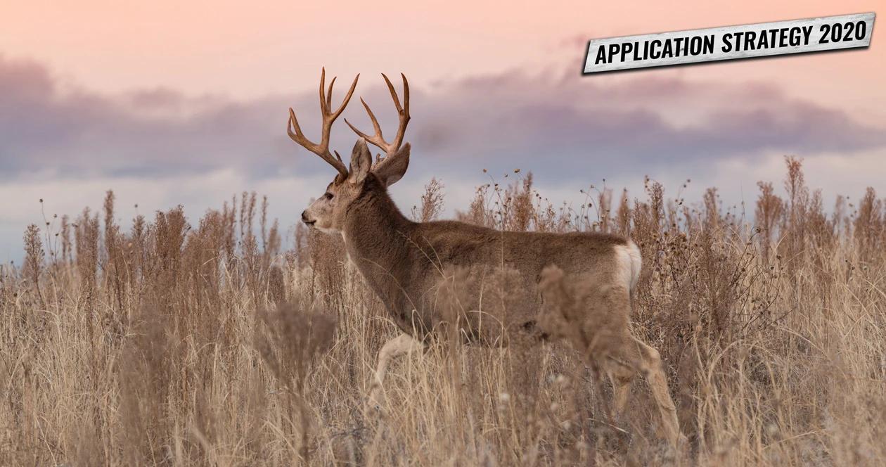 Utah 2020 application strategy mule deer h1_0