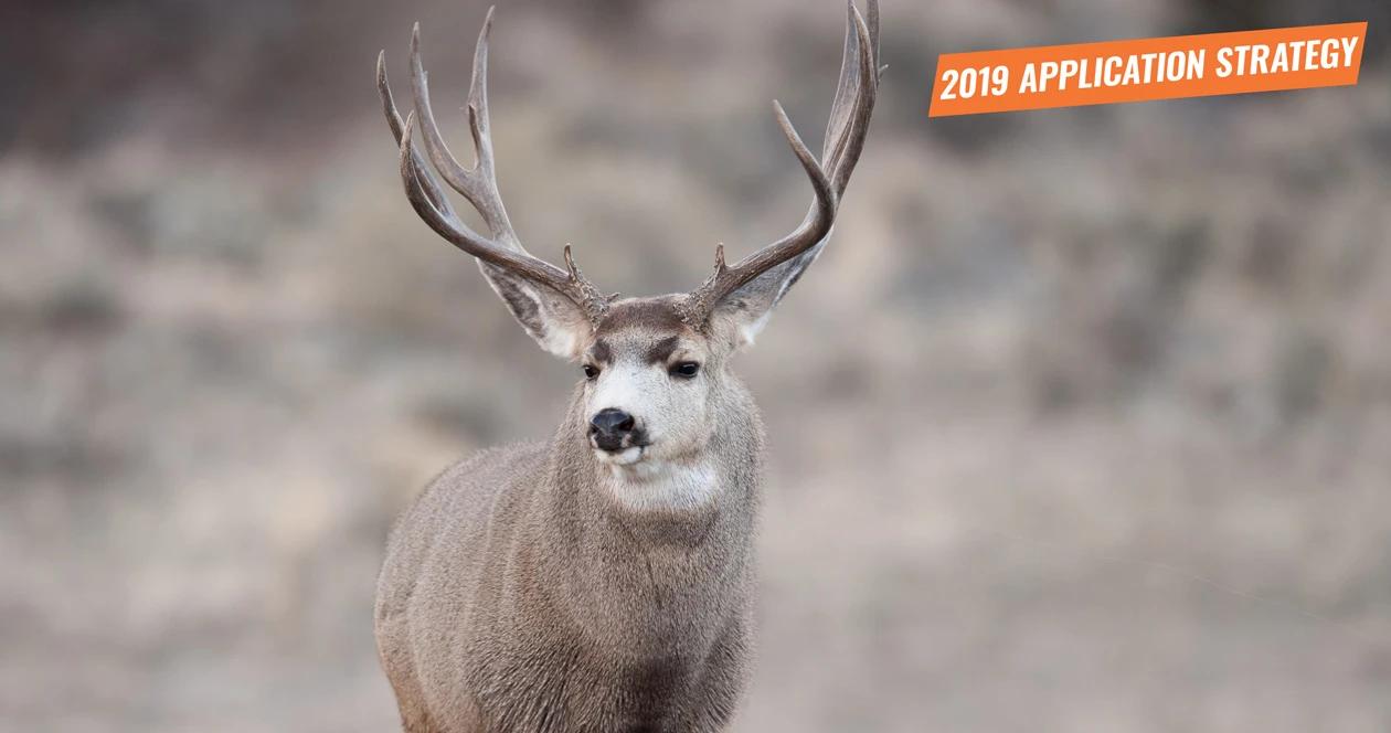 2019 nevada deer application strategy 1