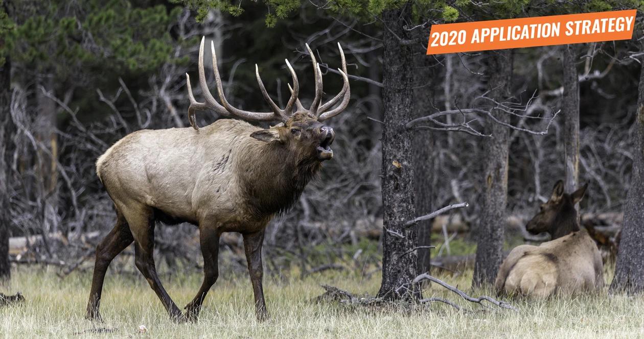 2020 wyoming elk application strategy h1