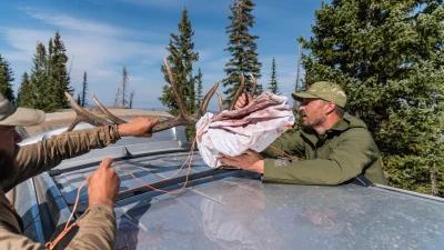 Colorado over-the-counter elk hunting how to use Insider to narrow down your hunt choices