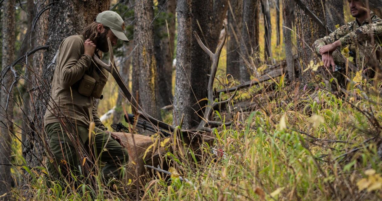 Why you should hunt elk during the pre rut phase 1