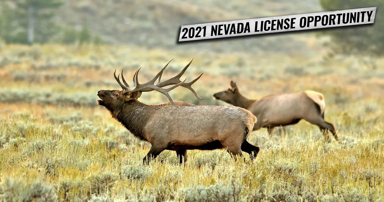 2021 nevada first come first served license opportunity 1