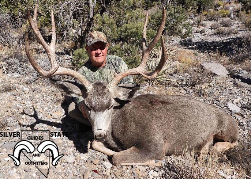 Mule deer taken with silver state guides and outfitters