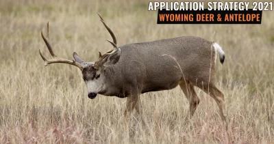 APPLICATION STRATEGY 2021: Wyoming Deer and Antelope