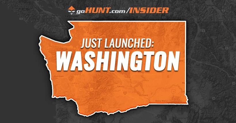 INSIDER Update: Washington is now live!