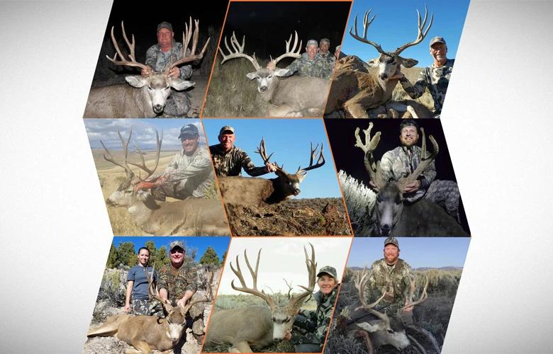 Nevada restricted mule deer guided draw 2017 1_2