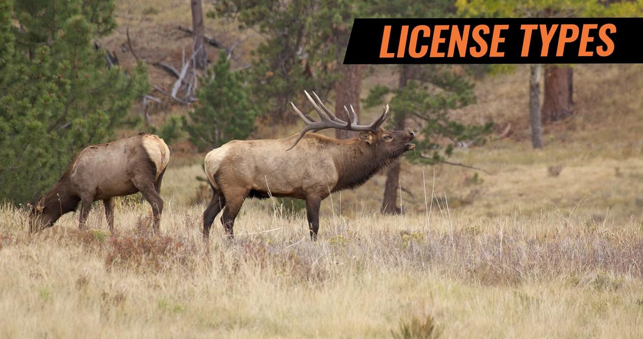 What does license types mean in wyoming for hunting 1