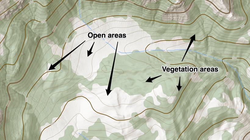 Vegetation and open areas on topographical map