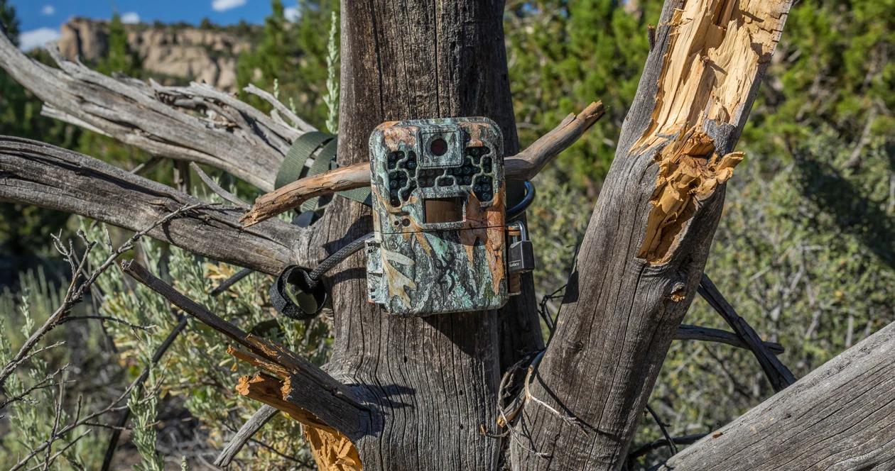 Nevada new for 2018 trail camera law 1