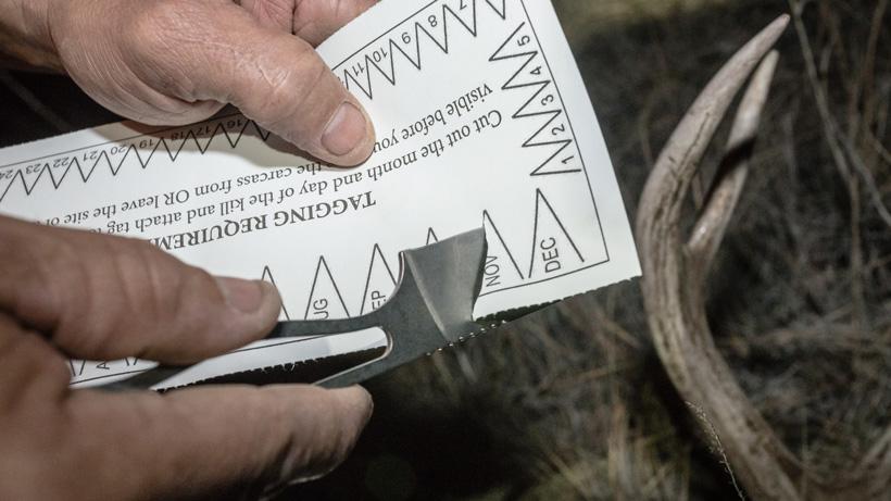 Punching out a mule deer tag 2