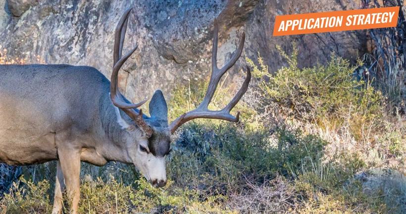 2018 colorado deer application strategy article 1