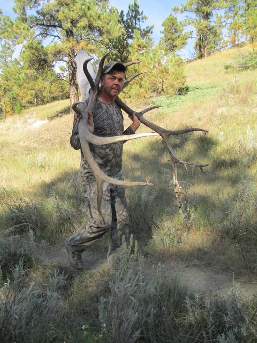 Ron packing out his archery bull elk