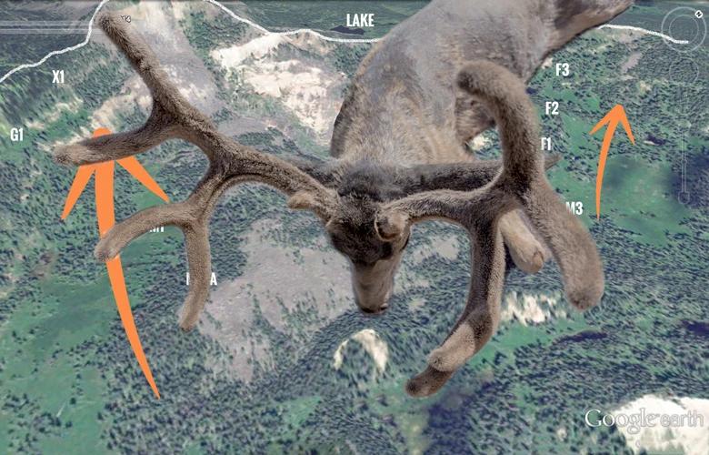 How to find big mule deer on google earth 1