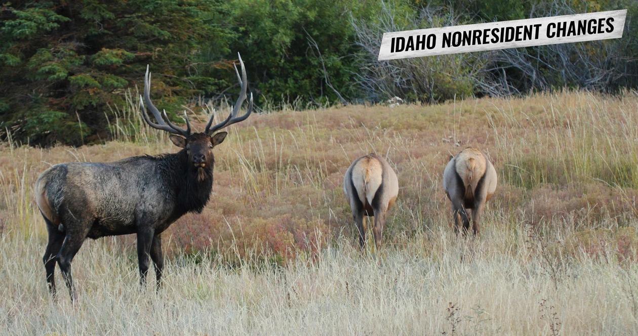 Potential big idaho nonresident hunting changes 1