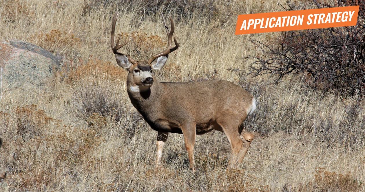 Oregon 2018 deer application strategy article 1