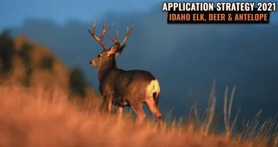 APPLICATION STRATEGY 2021: Idaho Elk, Deer and Antelope