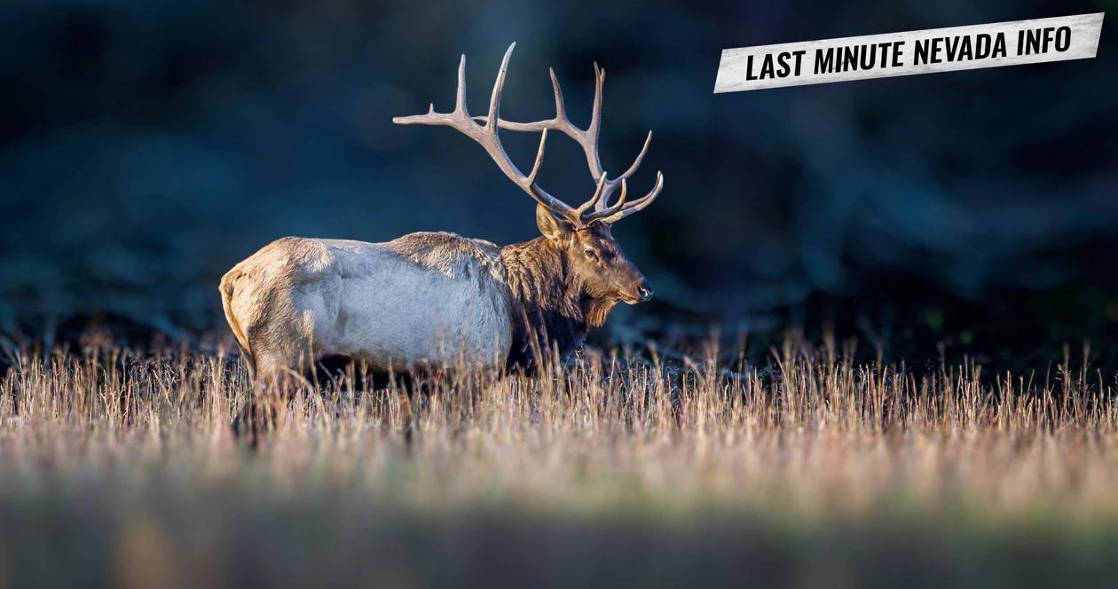 Nevada proposed 2019 big game hunting quotas 1