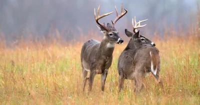 9 30 iowa man guiding illegal hunts H1