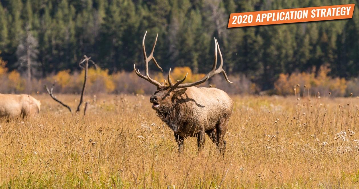 Utah elk antelope app strategy h1