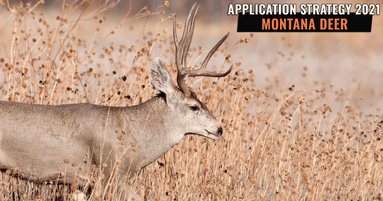 Montana deer app h1