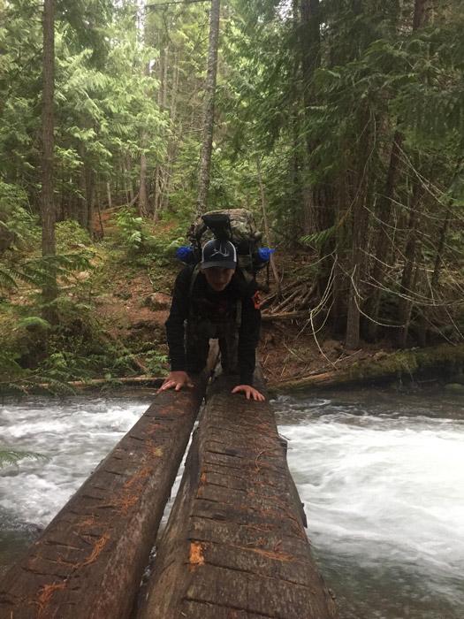 Danner crossing log bear hunt