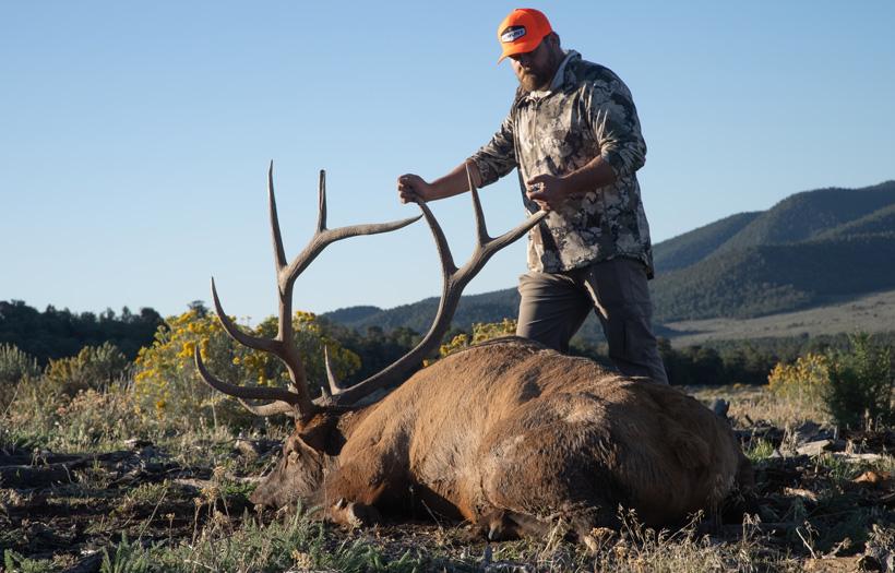 Brandon evans 2022 utah bull elk