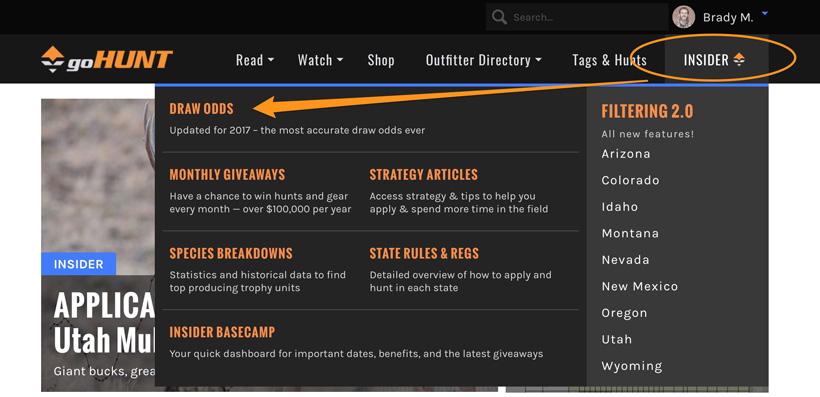 Accessing draw odds details page_0